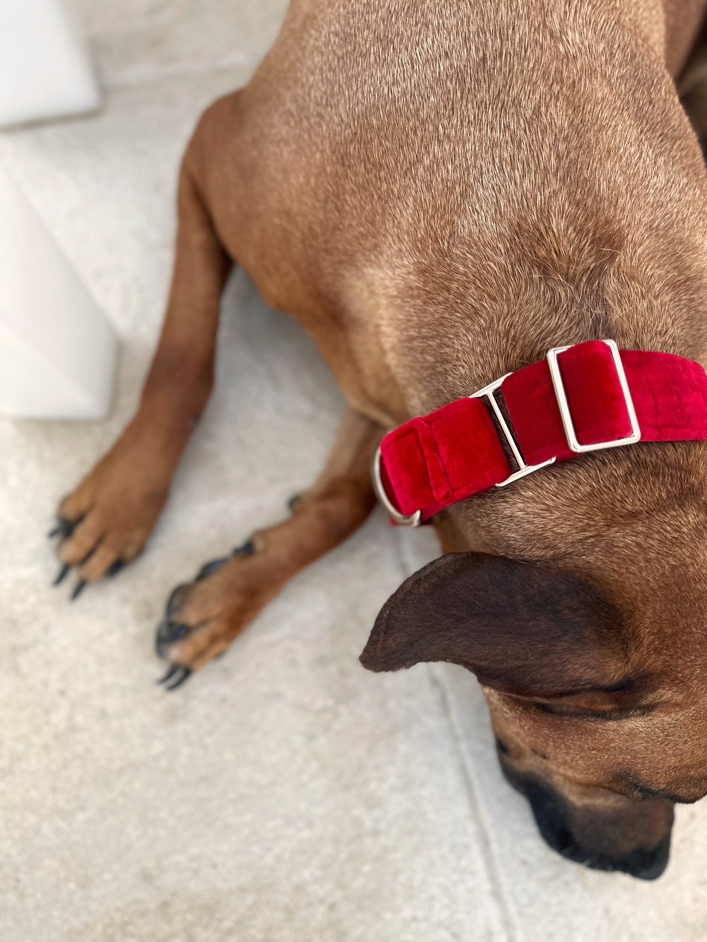 Collar velvet rojo